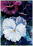 Hyperlink to and thumbnail of Pansies Floral painting image